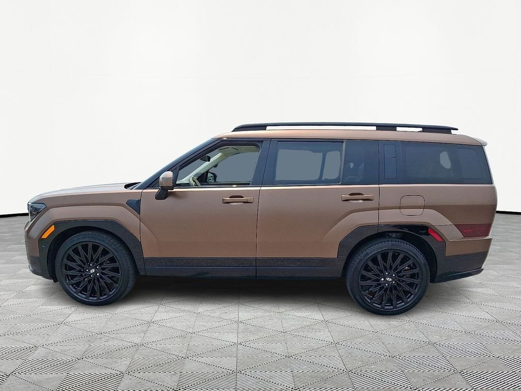 Used 2024 Earthy Brass Matte Hyundai Calligraphy image 4