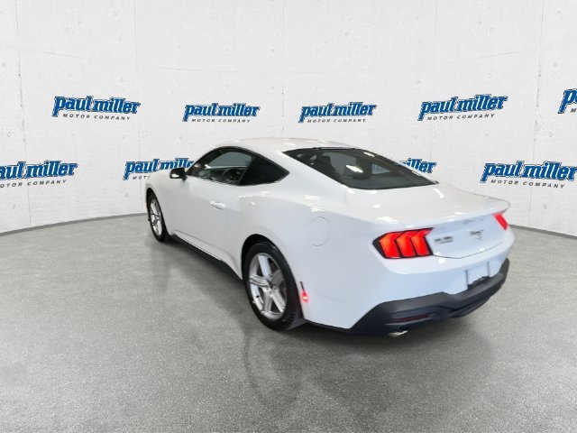 New 2026 Oxford White Ford EcoBoost® Fastback image 8