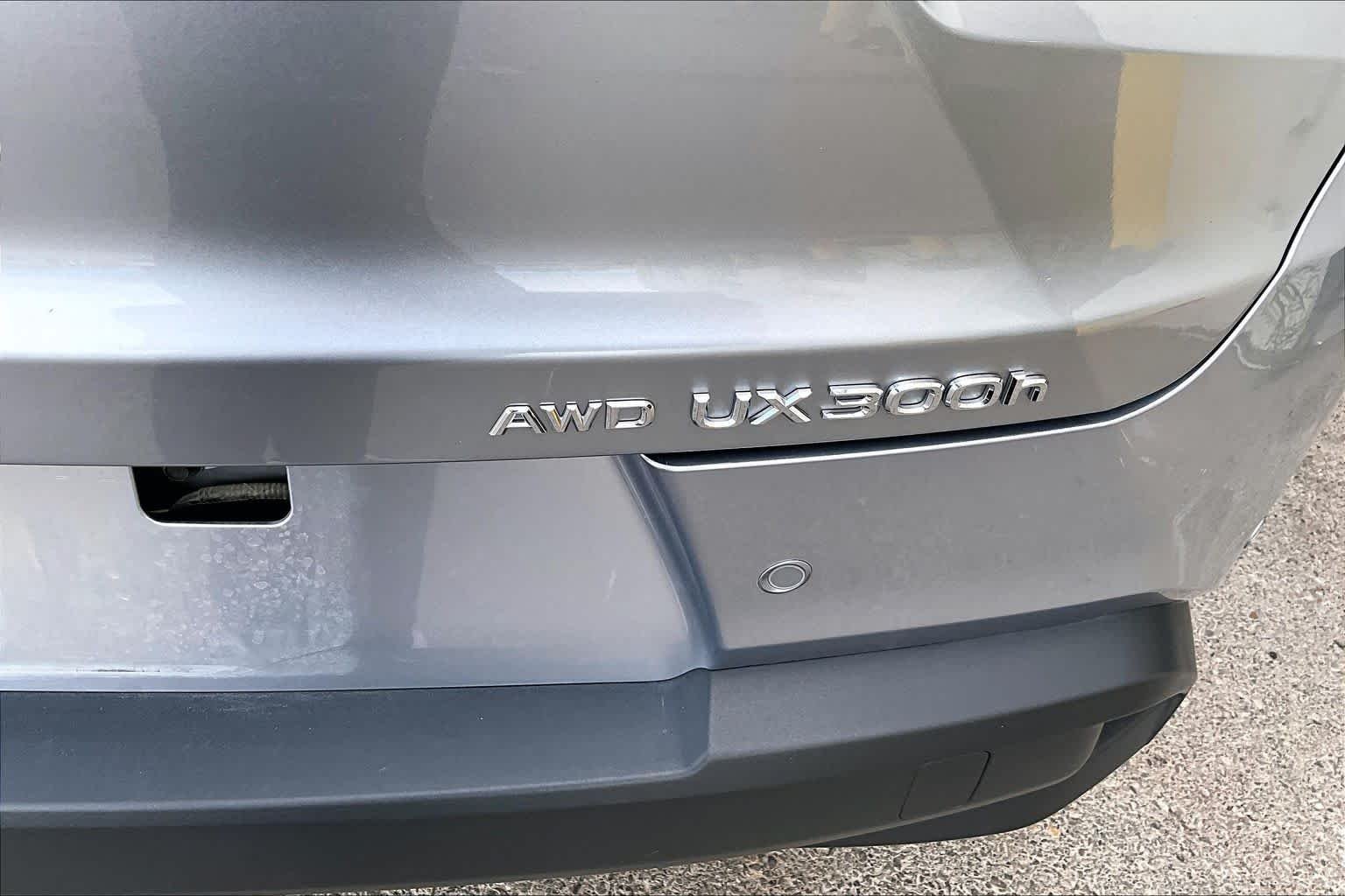 Used 2025 Iridium Lexus Premium image 27