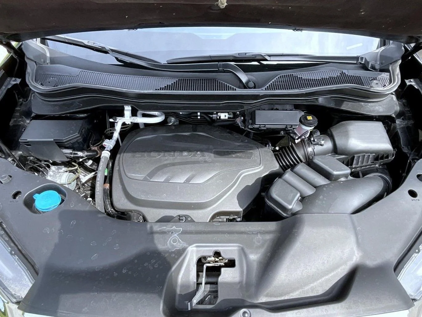 Used 2023 Black Honda RTL-E image 25