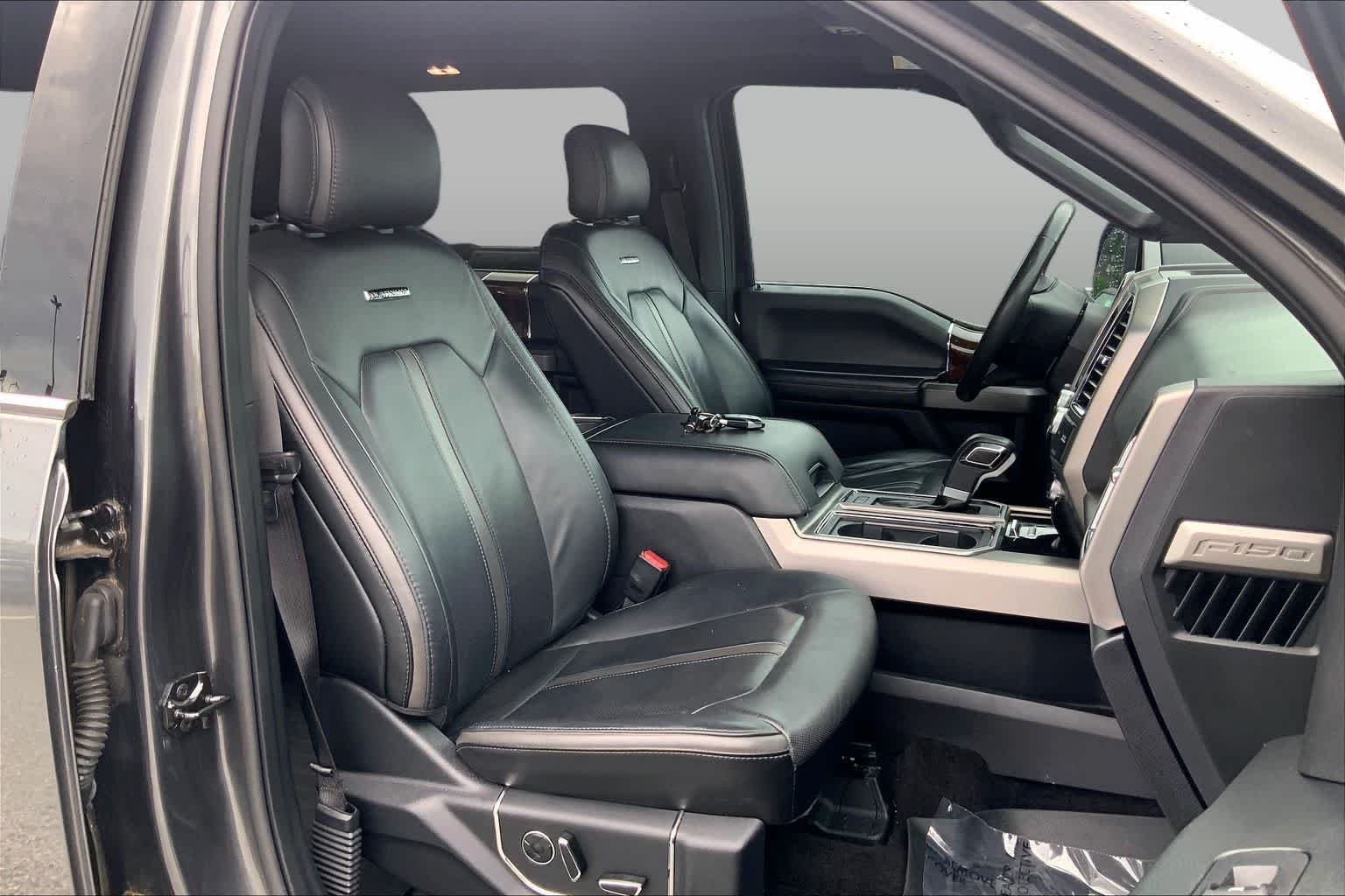 Used 2016 Magnetic Metallic Ford Platinum image 9