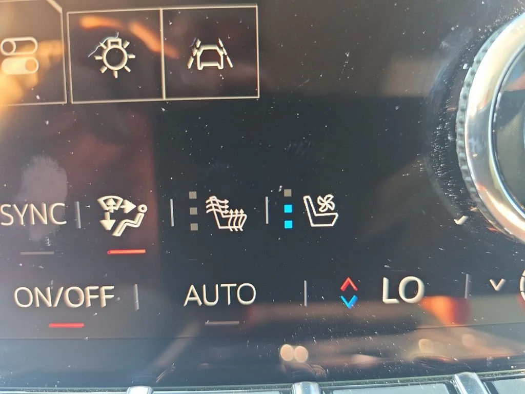 Used 2025 Blue GMC Denali image 19