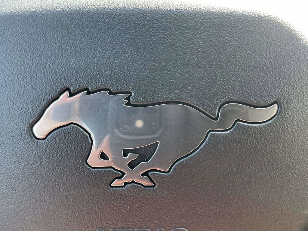 New 2026 Carbonized Gray Metallic Ford EcoBoost® Fastback image 24