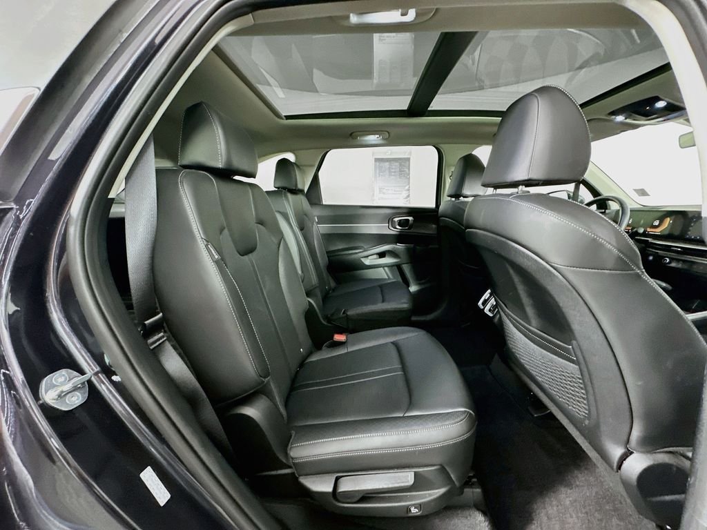 Used 2025 Panthera Metal Kia EX image 29