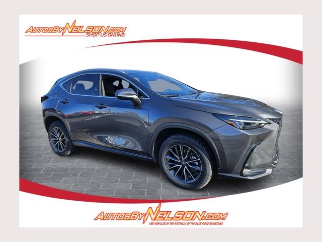 2024 Lexus NX