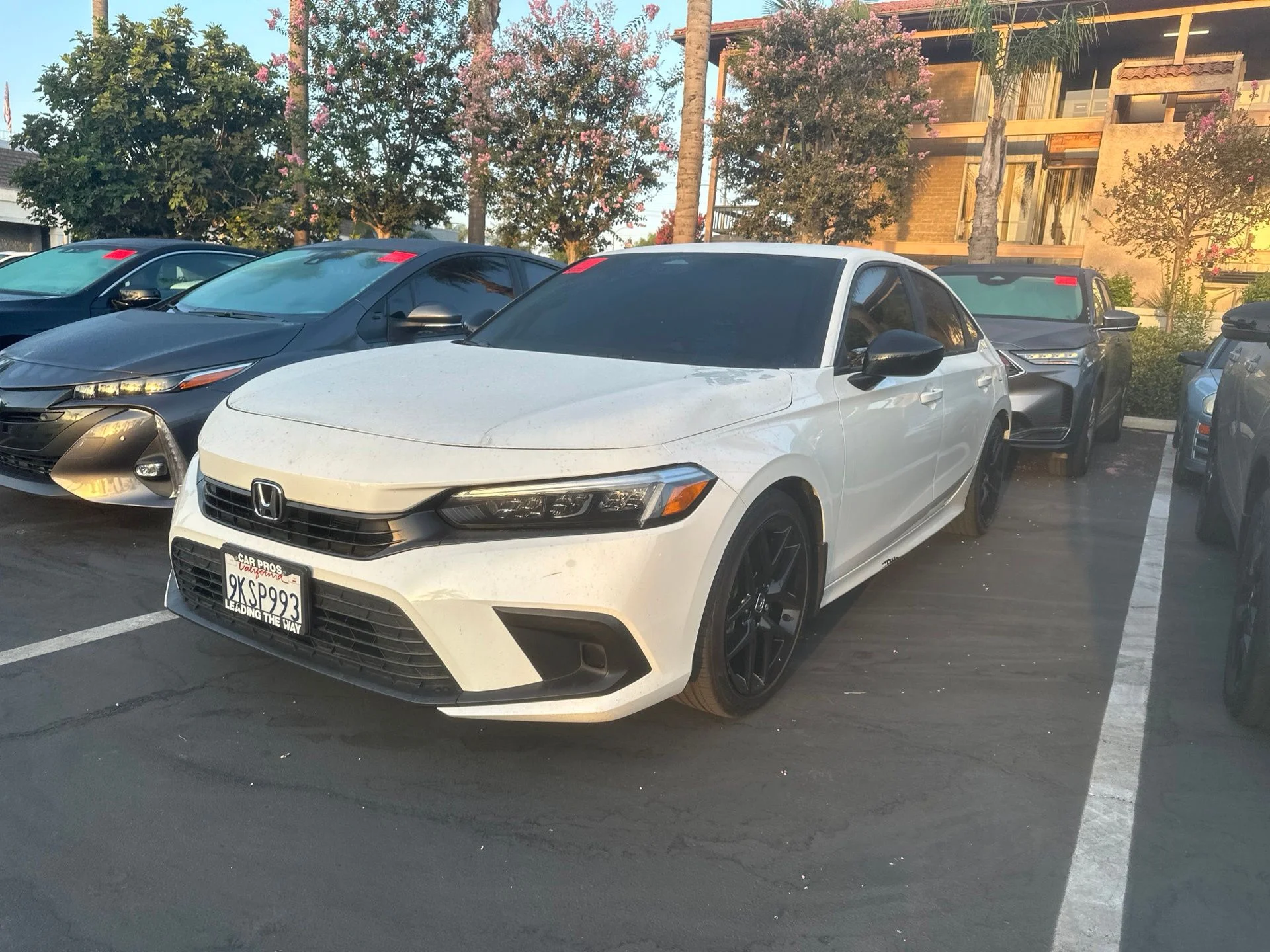 Used 2024  Honda Sport image 1