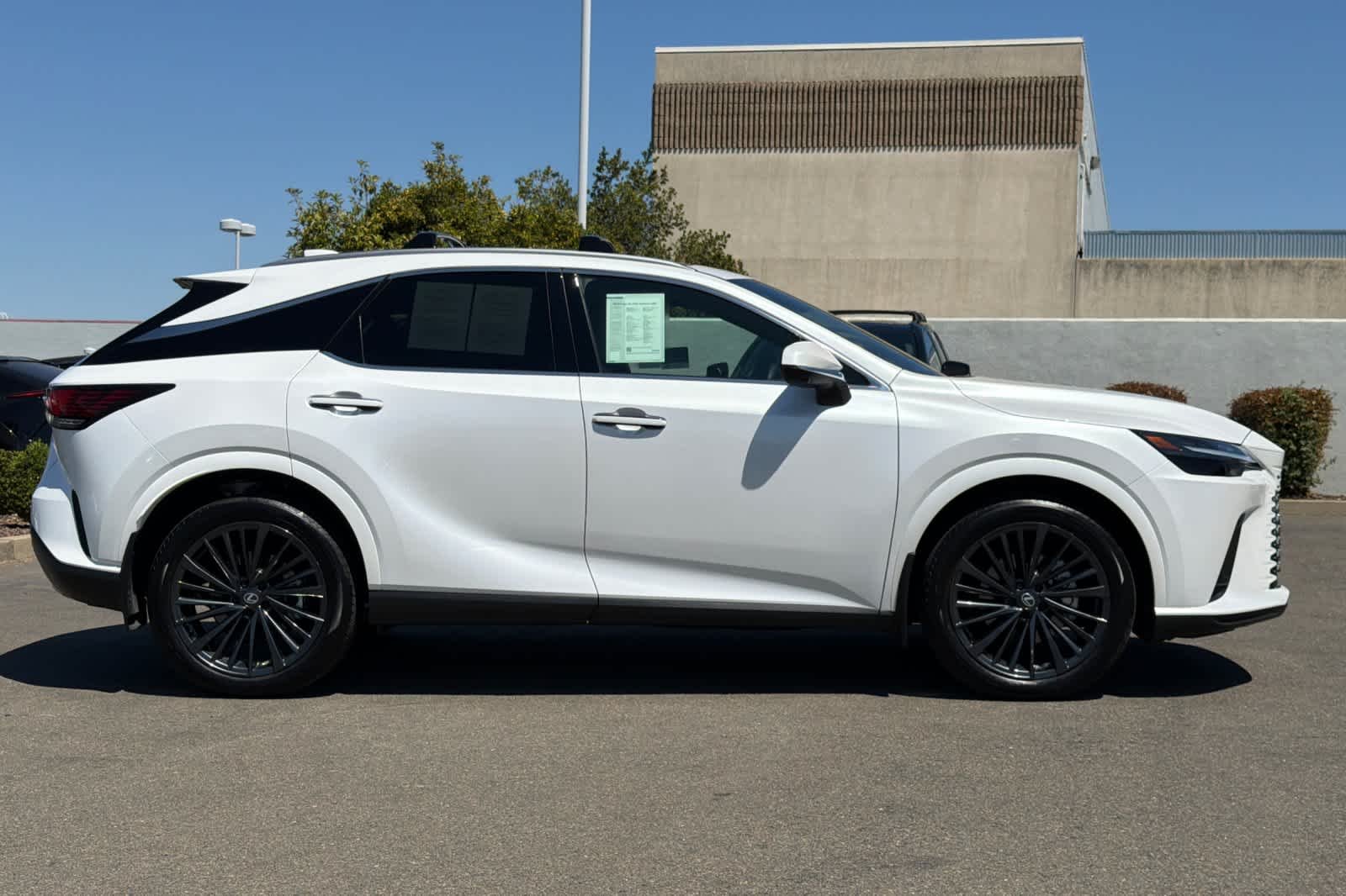 2026 Lexus RX Hybrid 350h - Photo 6