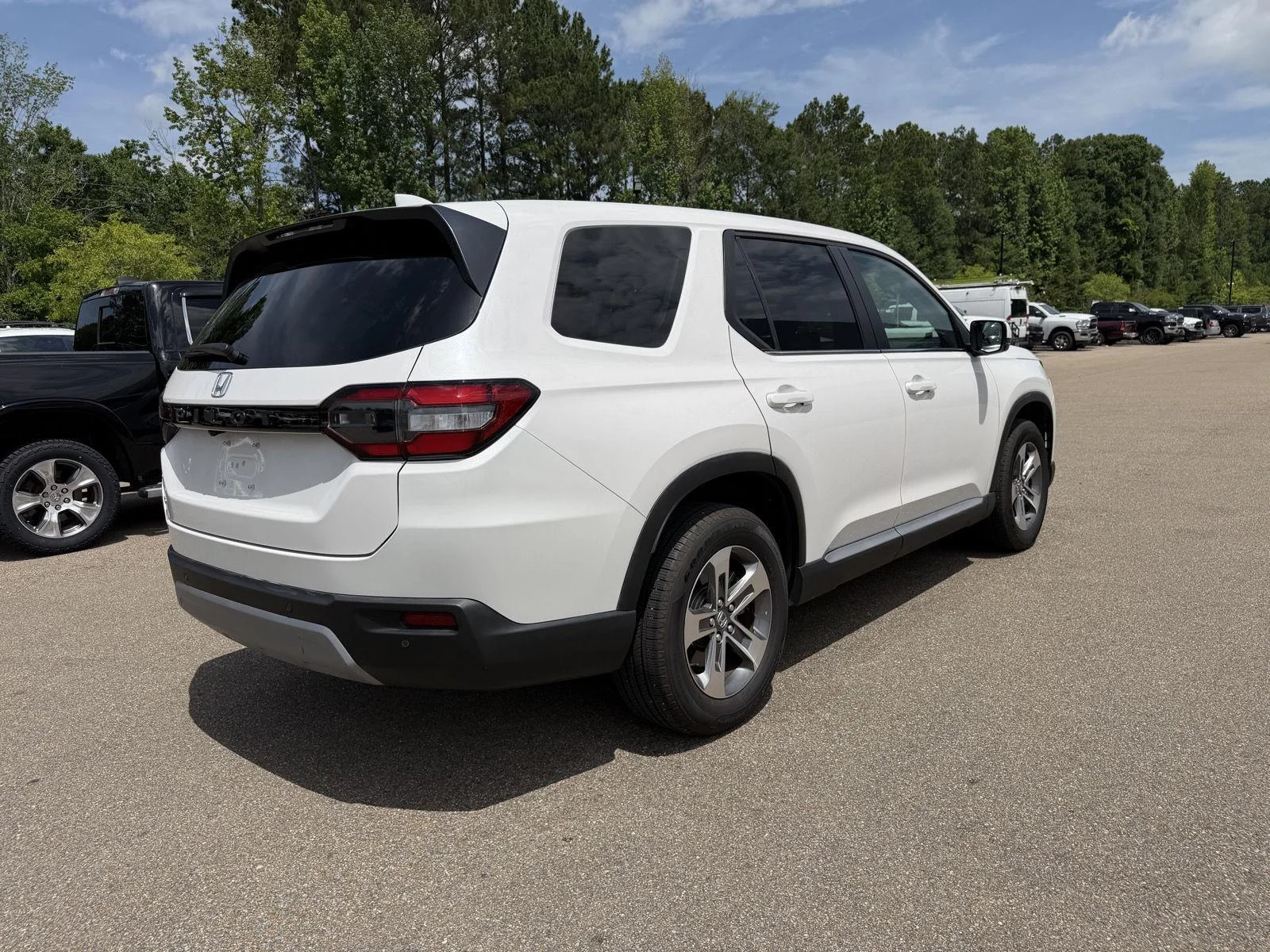 Used 2025 Platinum White Pearl Honda EX-L image 6