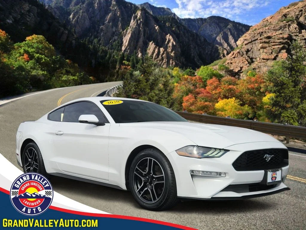 Used 2020 White Ford EcoBoost Premium image 1