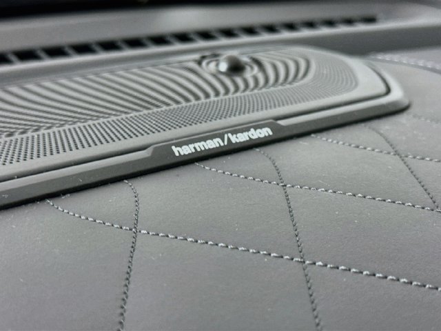Used 2025 Black Ram Limited image 18