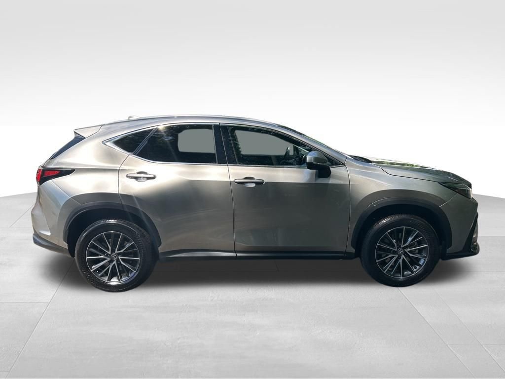 2024 Lexus NX 350 - Photo 7