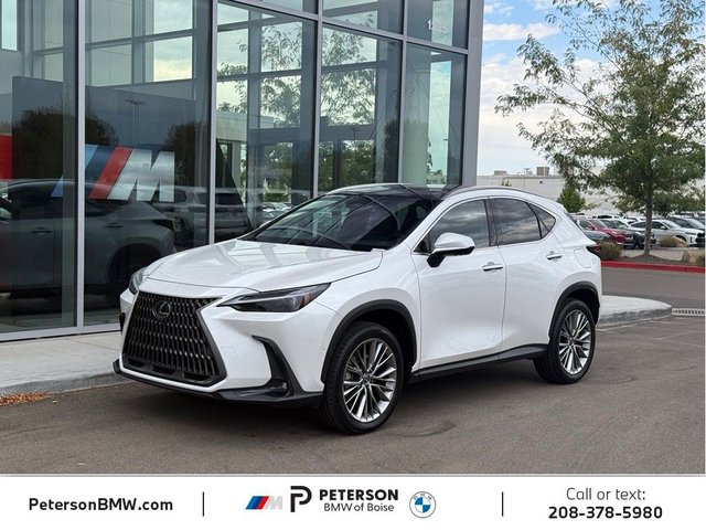 2024 Lexus NX 350h Luxury