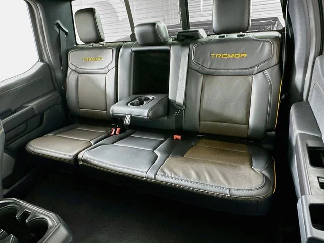 New 2026 Gray Ford Tremor image 11