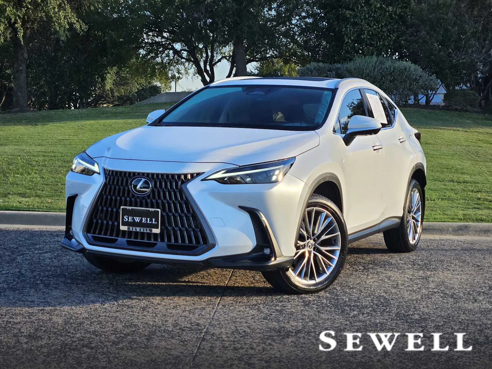 2025 Lexus NX
