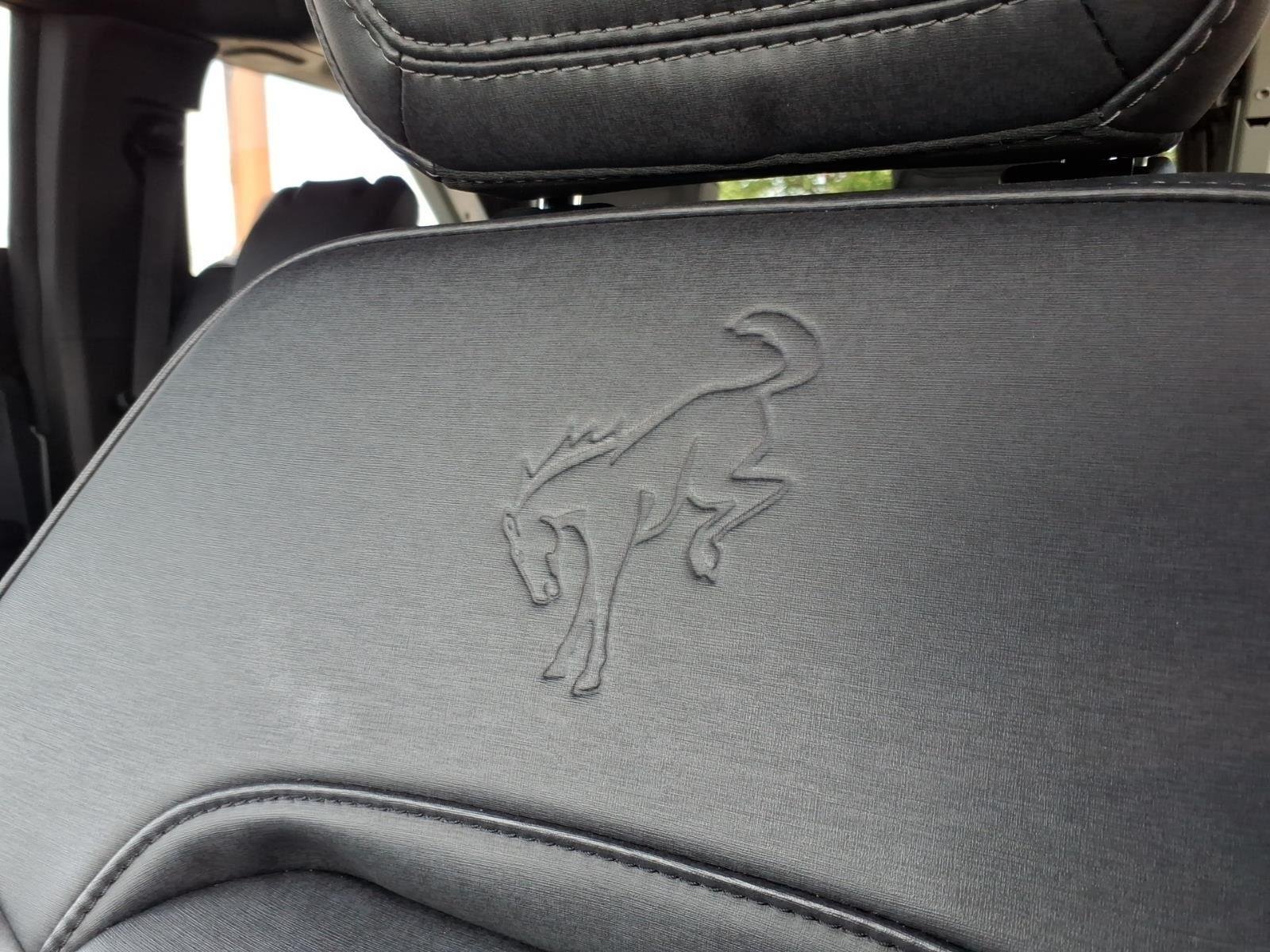 Used 2024 Cactus Gray Ford Black Diamond Sasquatch image 24