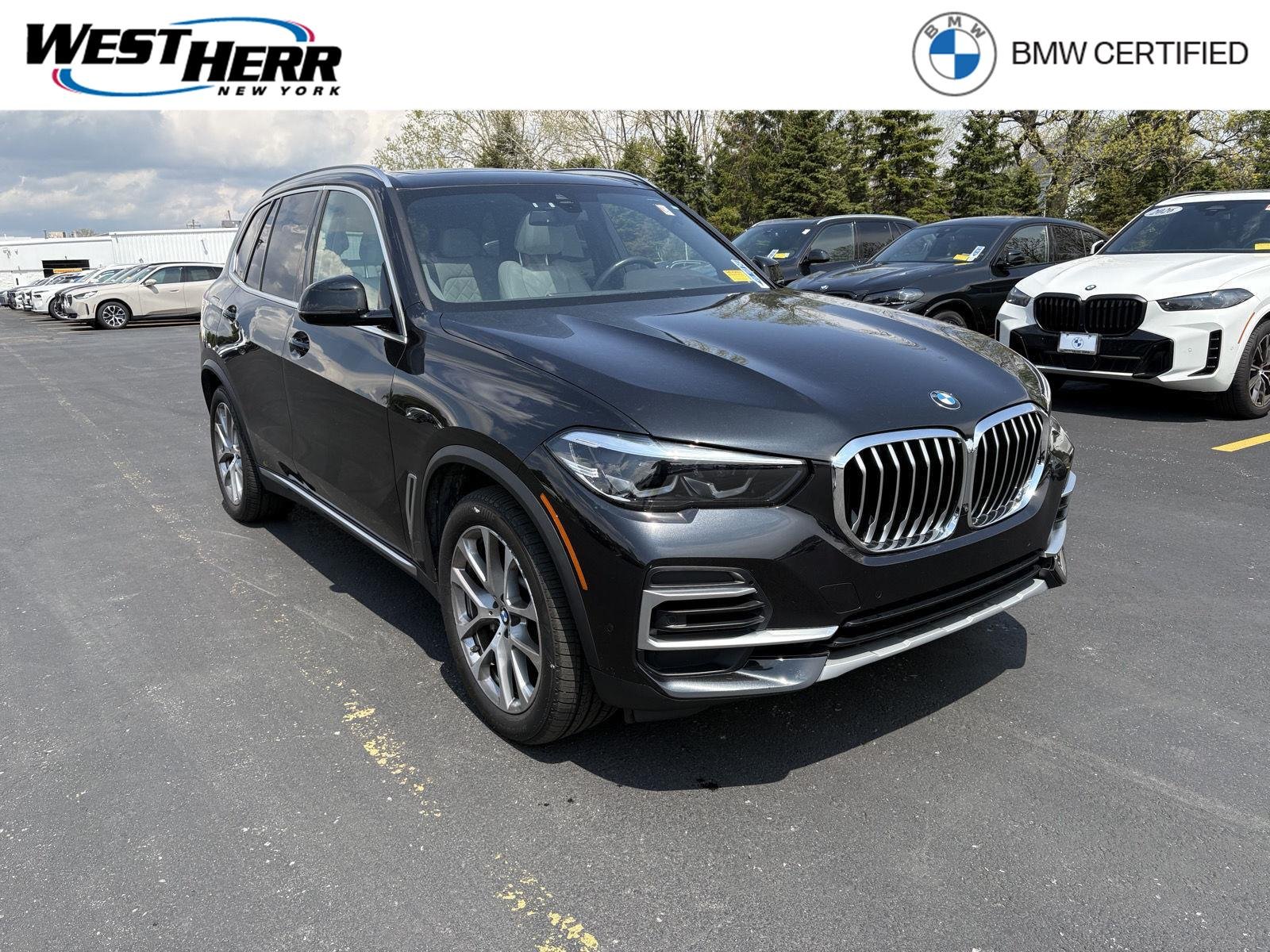 2023 BMW X5 xDrive40i's photo