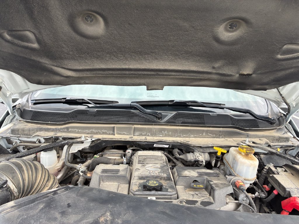 Used 2024 White Ram Tradesman image 18