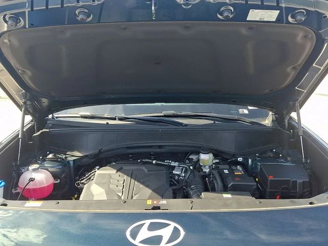 New 2026 Green Hyundai Calligraphy image 19