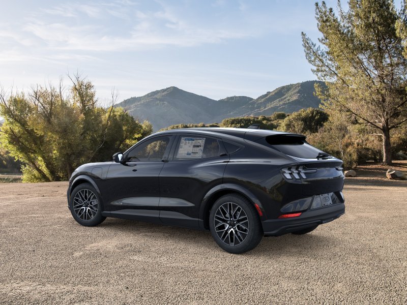 New 2026 Shadow Black Ford Premium image 26