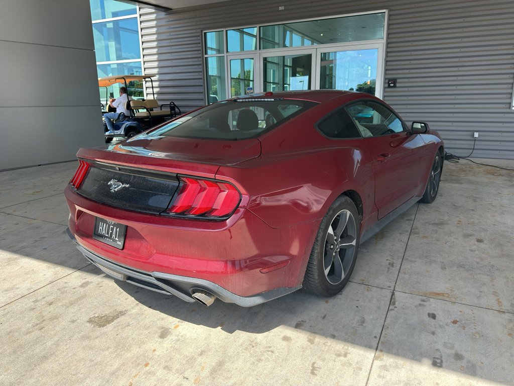 Used 2019 Ruby Red Metallic Tinted Clearcoat Ford EcoBoost image 4