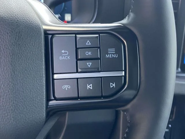 New 2026 Black Ford Platinum image 21