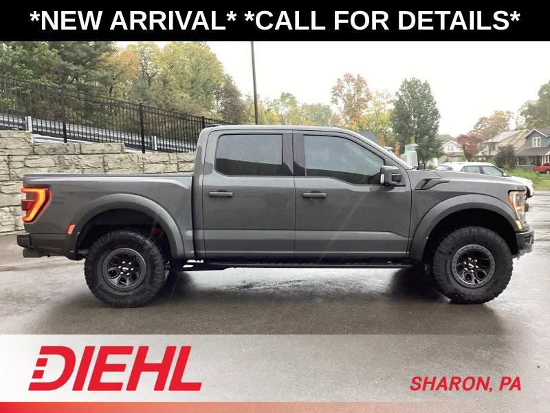 2021 Ford F-150 Raptor - Photo 8