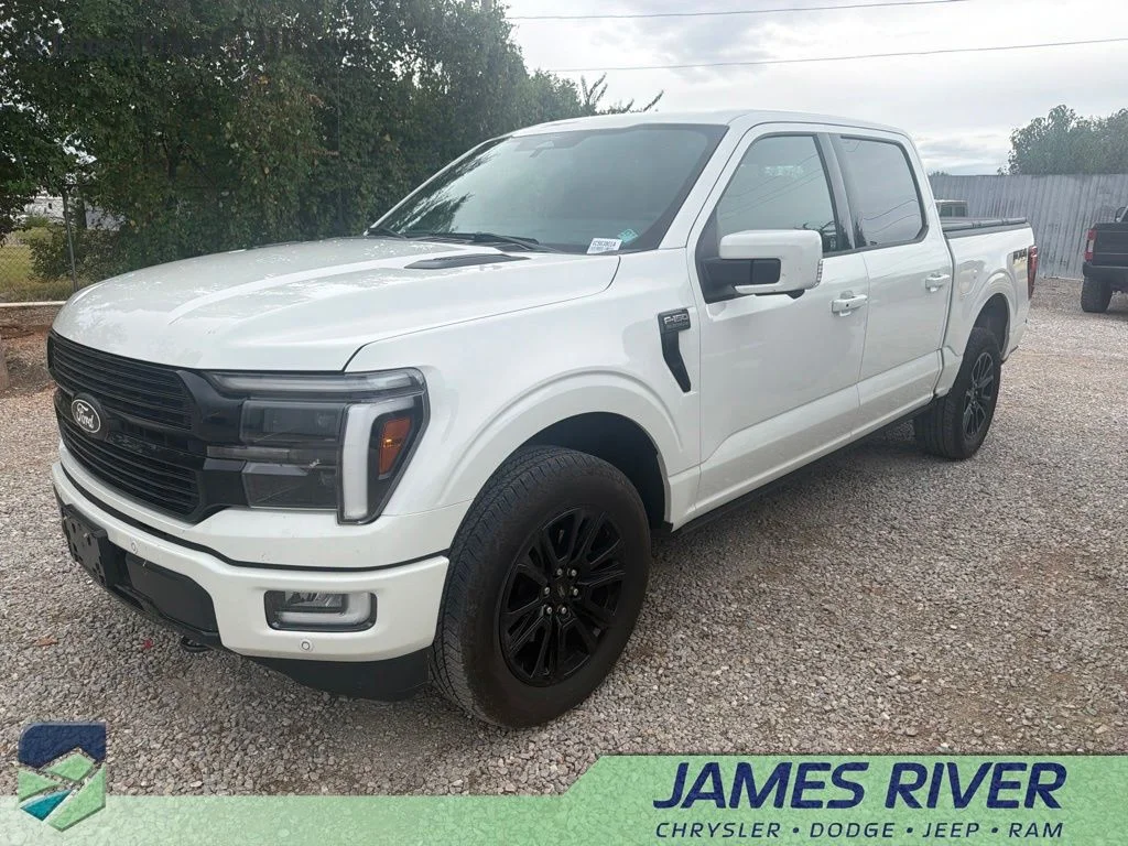 Used 2025 White Ford Platinum image 1