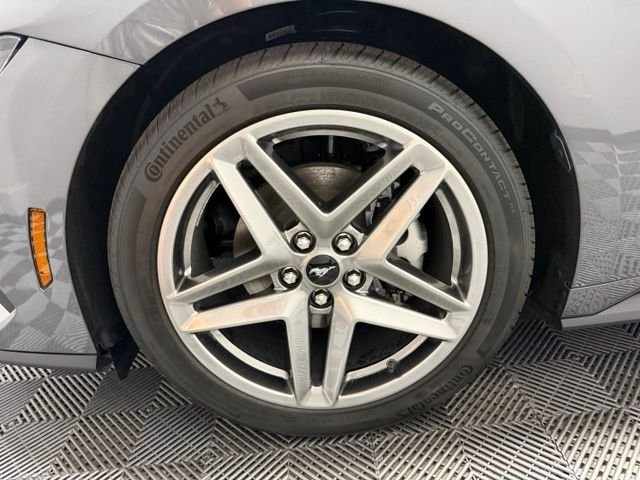 New 2026 Carbonized Gray Metallic Ford EcoBoost® Fastback image 32