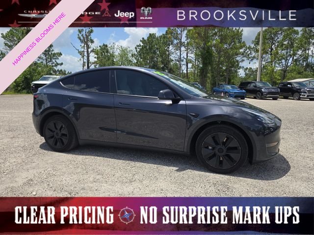 2025 Tesla Model Y Long Range Rear Wheel Drive's photo
