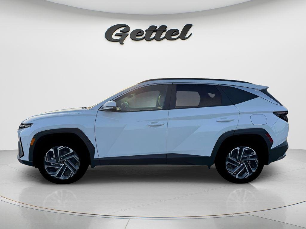 New 2026 White Hyundai Limited image 12