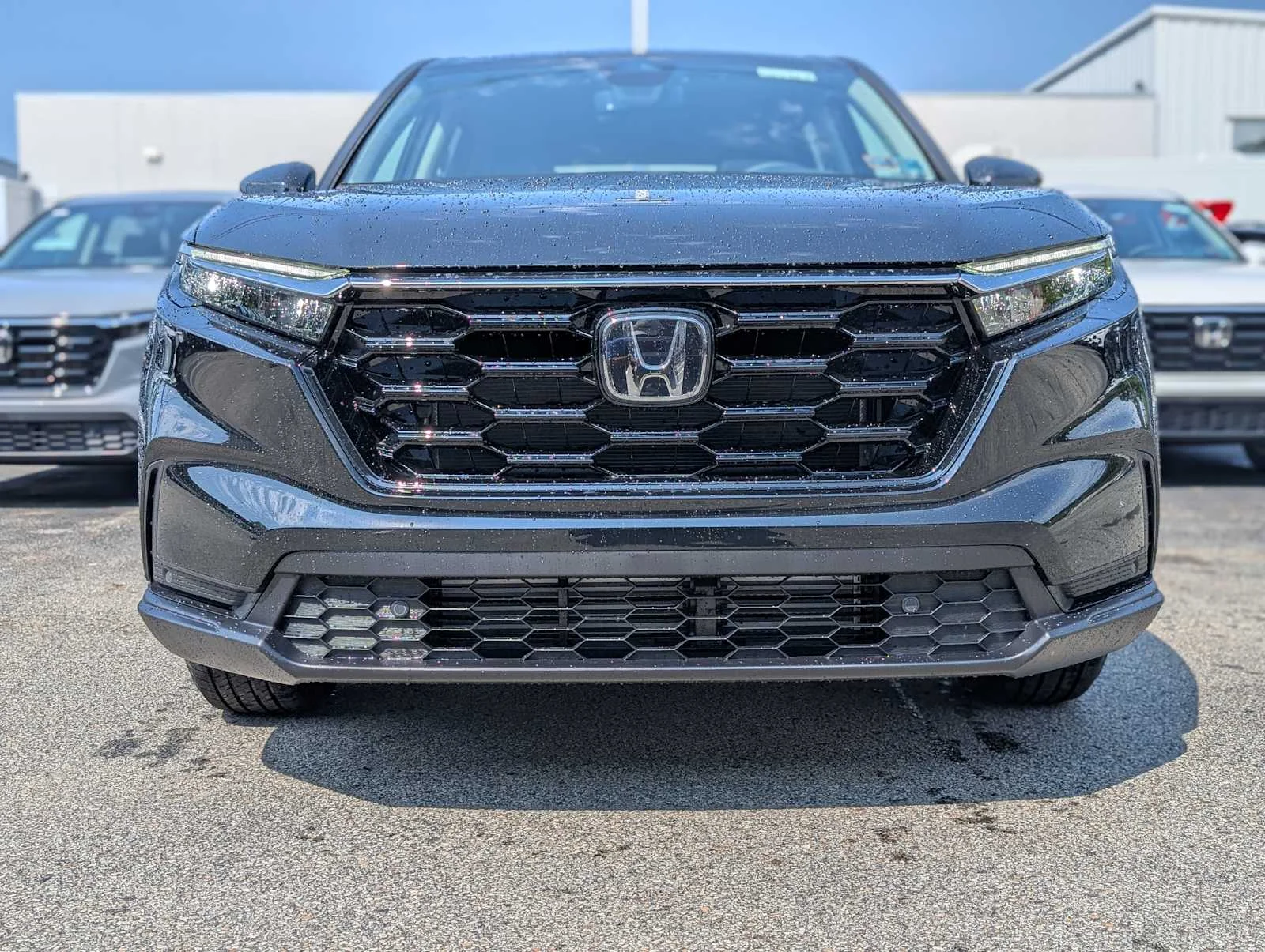 New 2026 Crystal Black Pearl Honda EX-L image 2