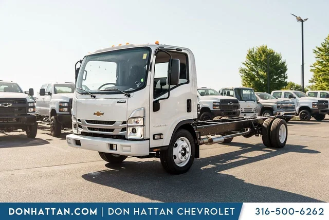 2025 Chevrolet Low Cab Forward 4500 HG MEDIUM ASH GRAY