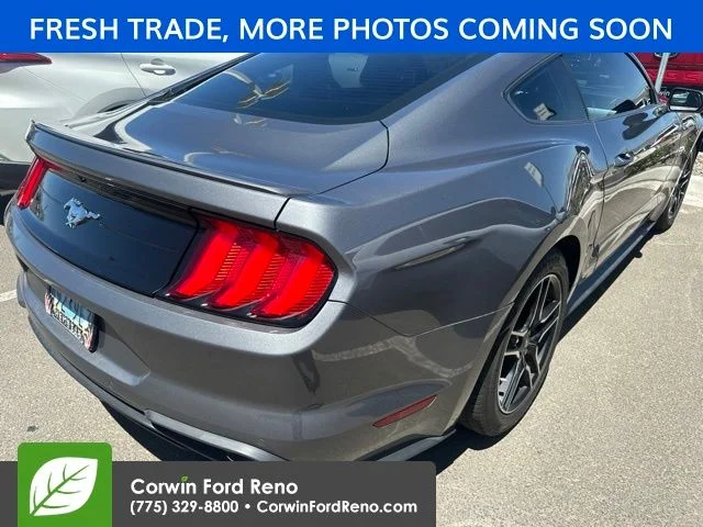 Used 2023 Gray Ford EcoBoost Premium image 4