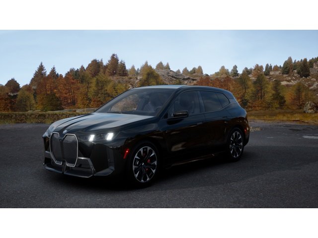 2026 BMW iX