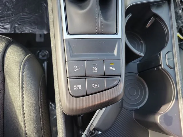 New 2026 Panthera Metal Kia EX image 20