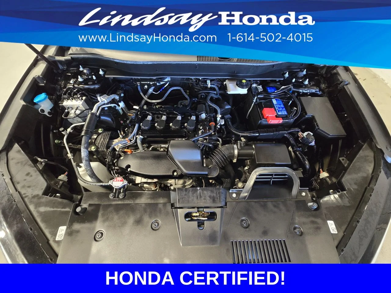 Certified Used 2025 Crystal Black Pearl Honda LX image 28