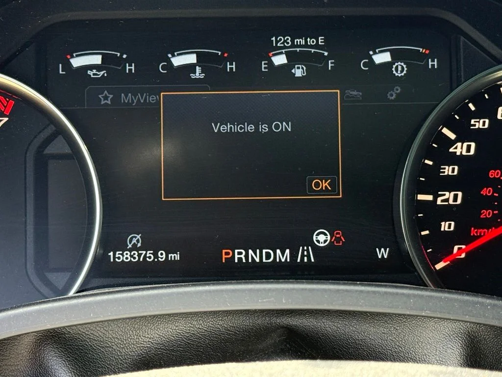 Used 2017 Black Ford Raptor image 18