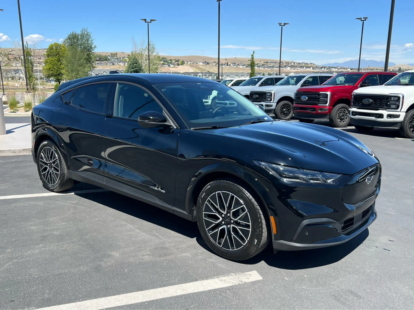 New 2026 Shadow Black Ford Premium image 5
