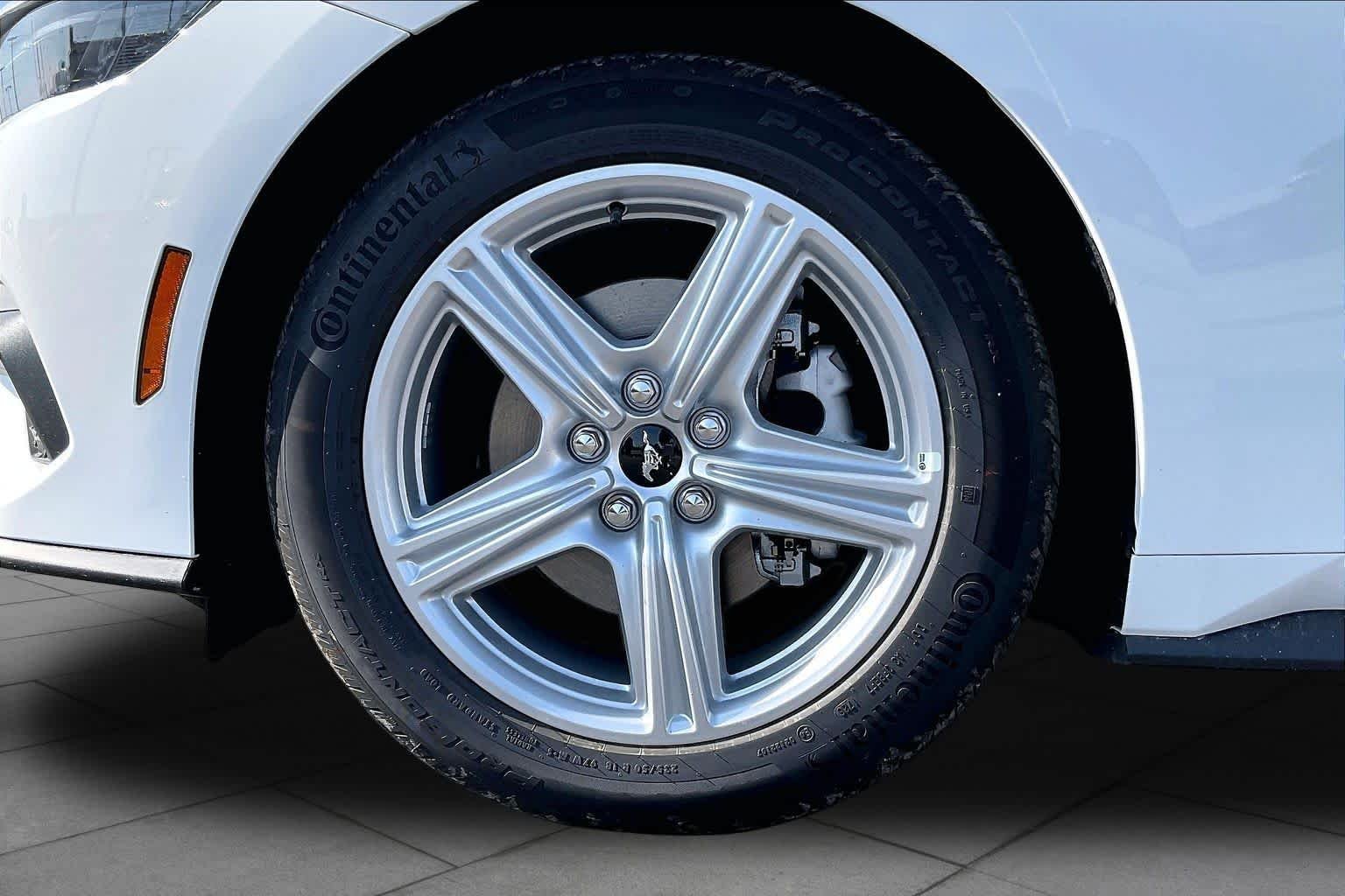 New 2026 Oxford White Ford EcoBoost® Fastback image 8