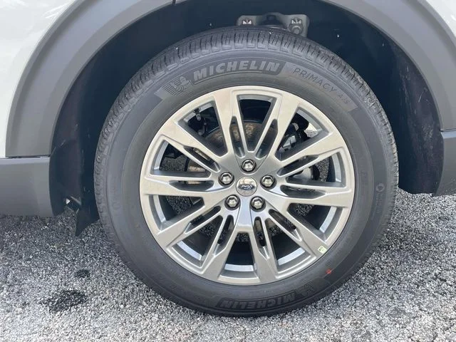 New 2026 White Ford Platinum image 6
