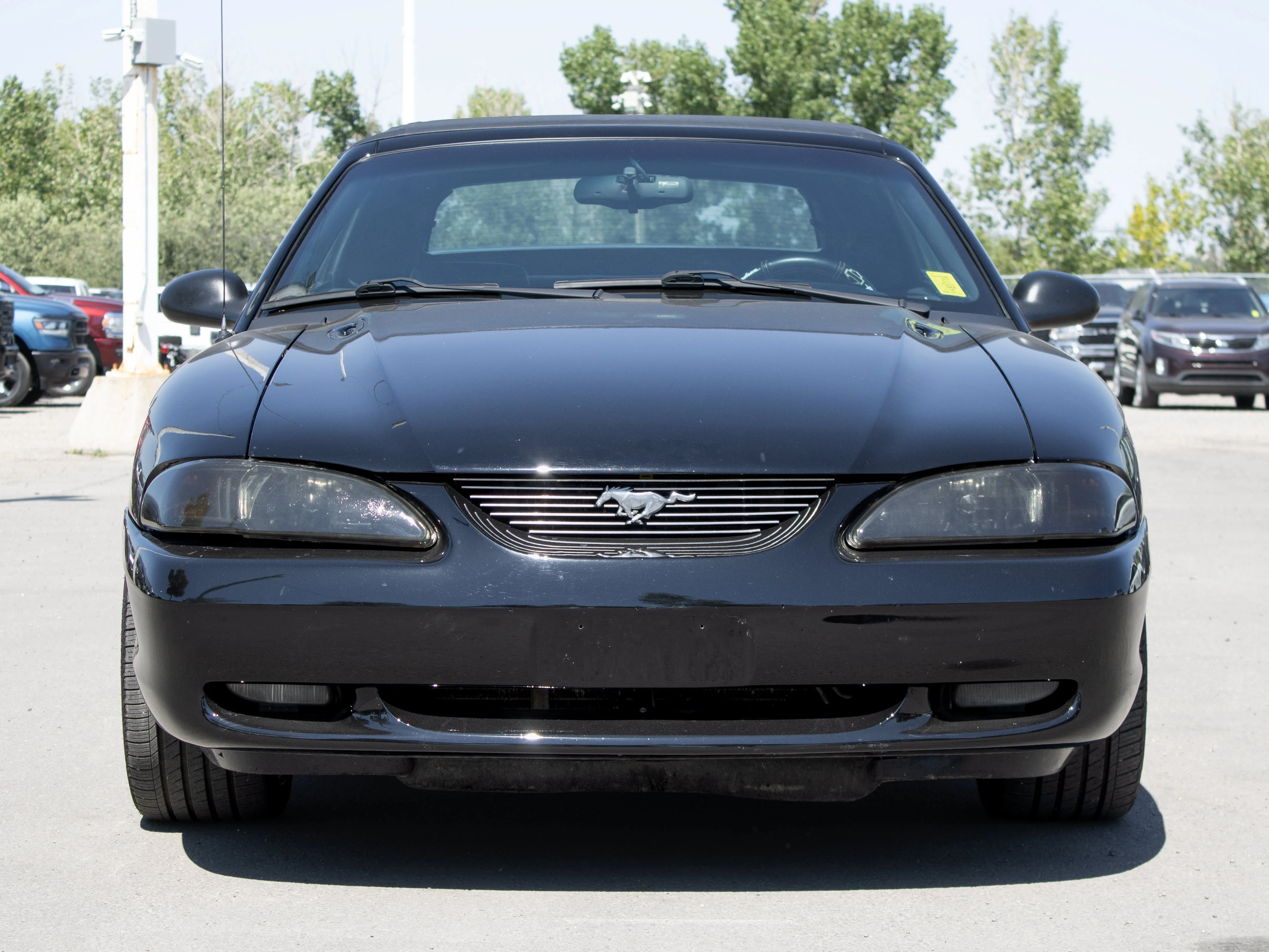 Used 1997 Black Ford GT* Convertible | 4.6L V8 | 5-Speed Manual | SVT Wheels | image 12