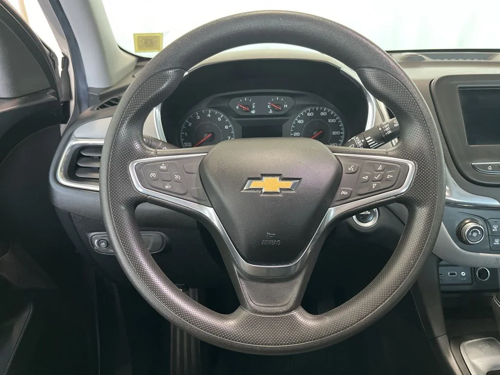 Used 2019 Silver Chevrolet LS image 5