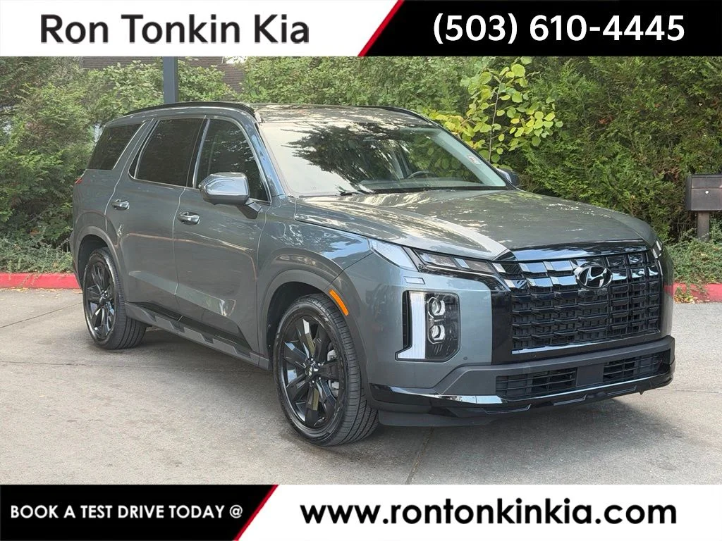 Used 2025 Steel Graphite Hyundai XRT image 1