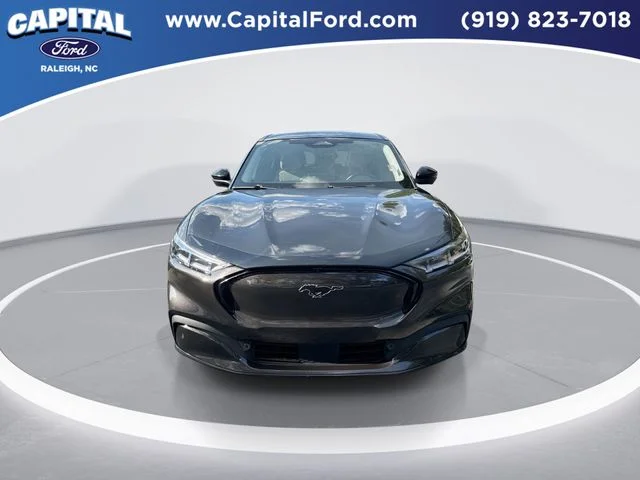Used 2021 Gray Ford Premium image 3
