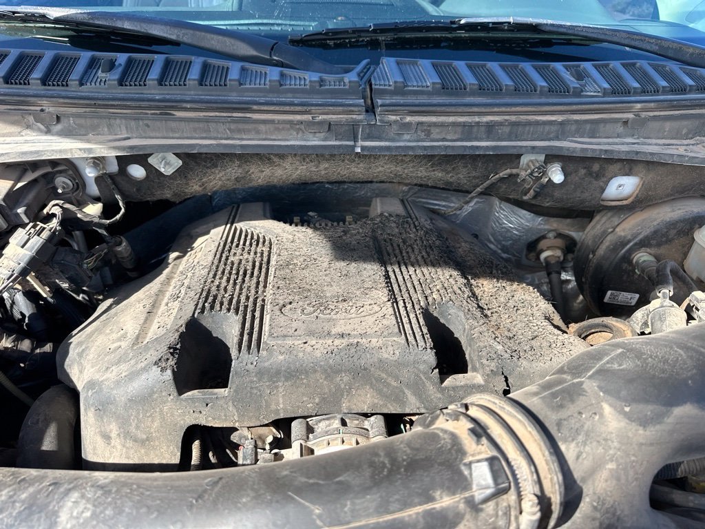 Used 2019 White Ford Limited image 18