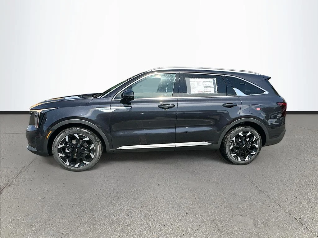 New 2026 Panthera Metal Kia SX image 4