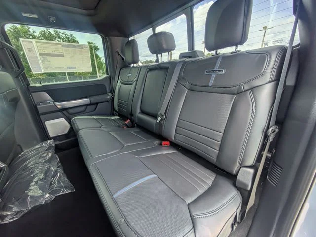 New 2026 Gray Ford Platinum image 13