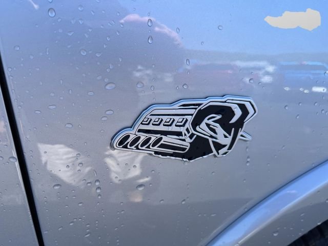 New 2026 Silver Zynith Exterior Paint RAM Big Horn image 35