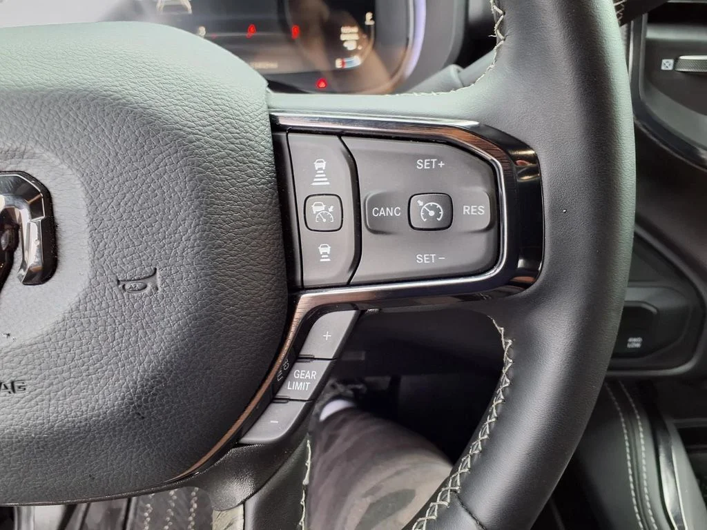 Used 2025 Black Ram Limited image 13