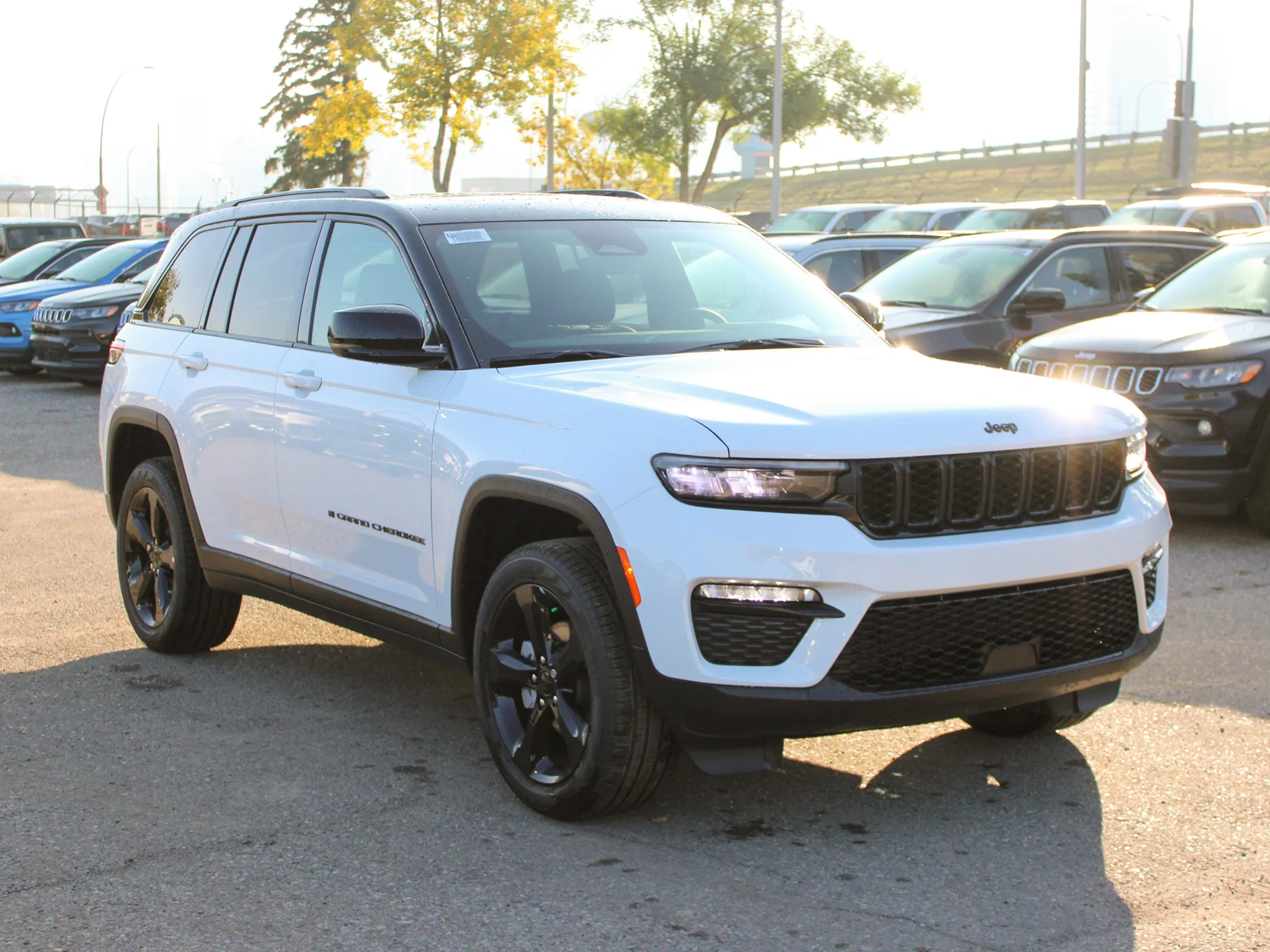 Used 2025 White Jeep Limited* 4x4, Panoramic Sunroof, Trailer Tow Package image 6